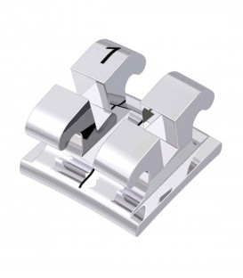 Dente-11_722-401-11